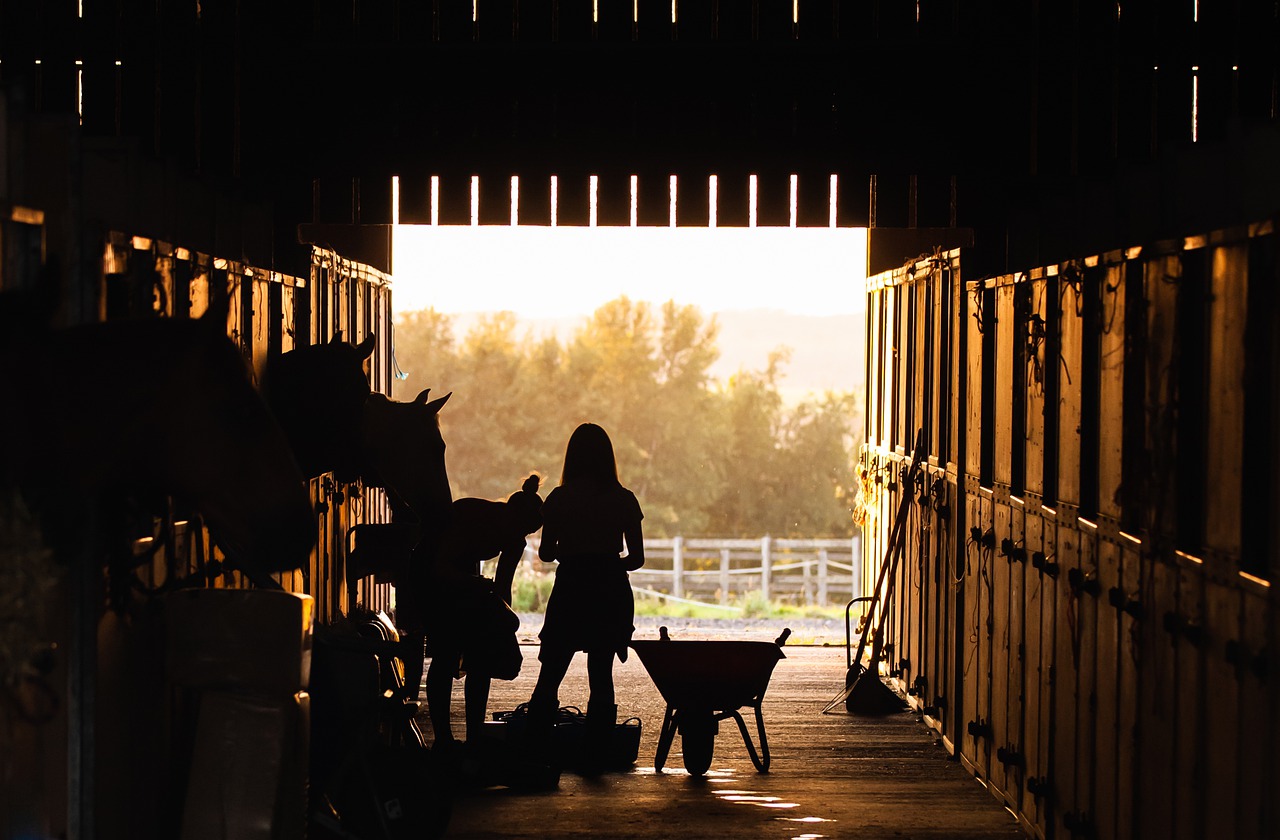 stable, girl, horses-4426781.jpg